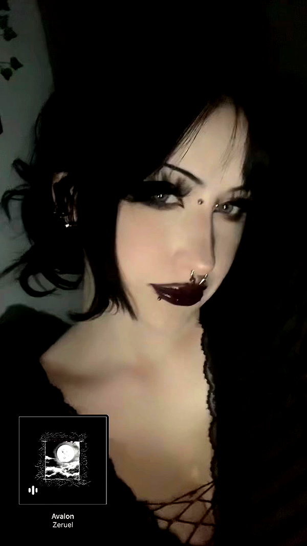 tarantvlagrll archive video preview