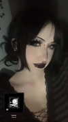 tarantvlagrll Altpins Profile Picture