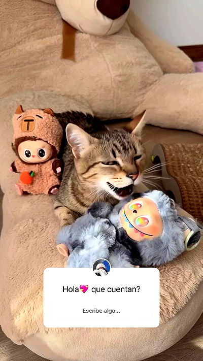 shunli__mei shunli__mei archive video