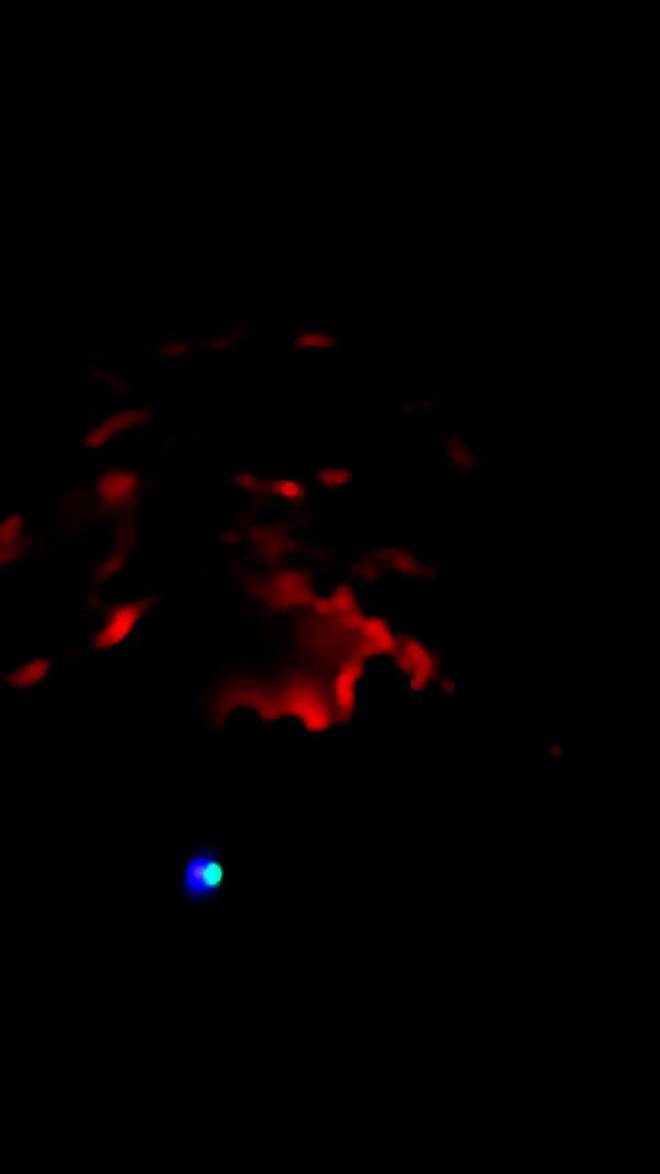 bloodyfukk archive video preview
