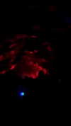 bloodyfukk Altpins Profile Picture