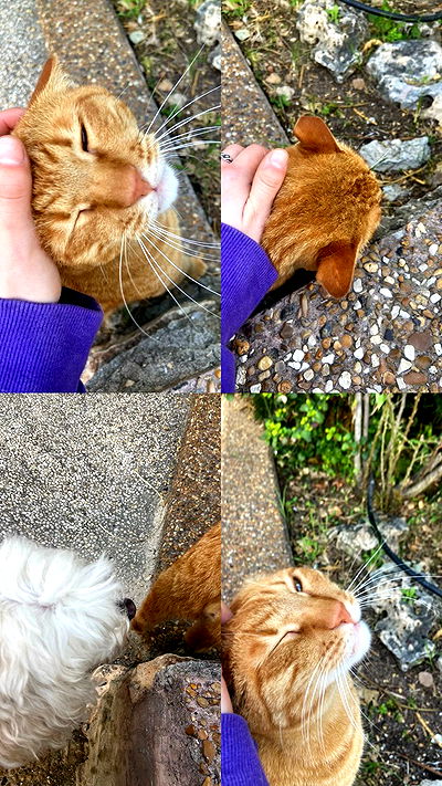 feelbetterinmysweater feelbetterinmysweater archive video