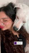 __yaheli_ Altpins Profile Picture