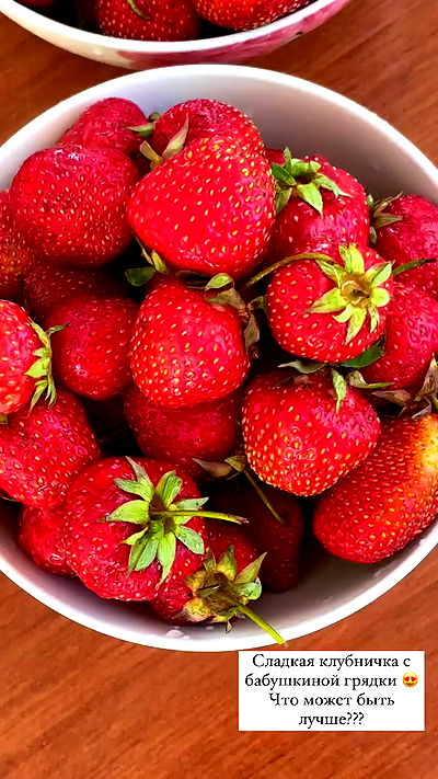 nyityam nyityam archive video