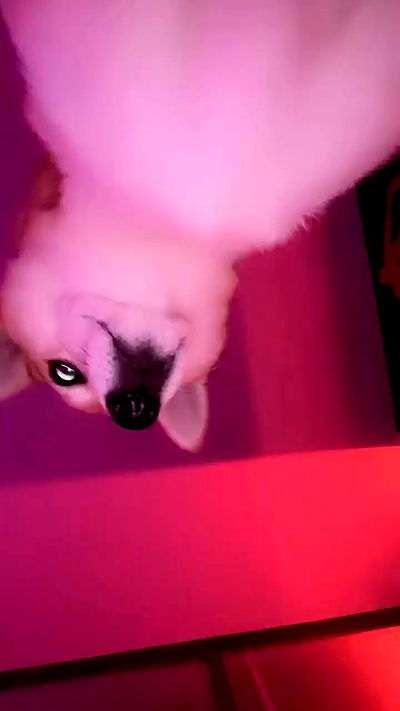 zommmbri zommmbri archive video