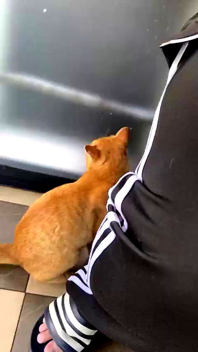 oqr0_ oqr0_ archive video