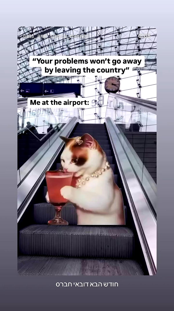 diana_rizz archive video preview