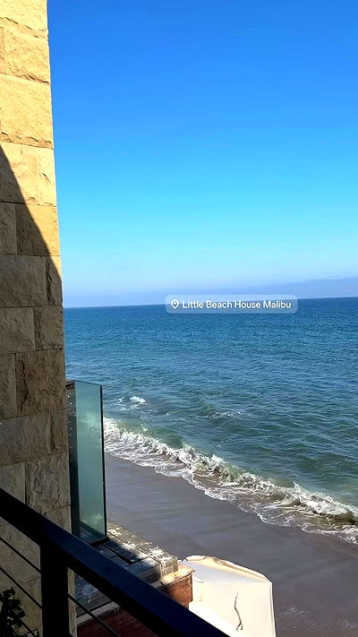 carolinezalog carolinezalog archive video