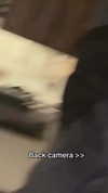 vampyfairys Altpins Profile Picture