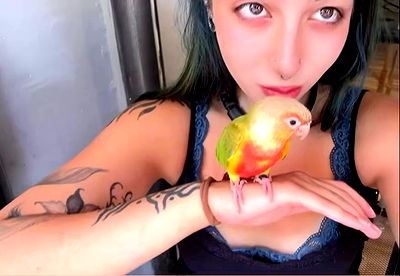 romy_ayalla_lavi romy_ayalla_lavi archive video