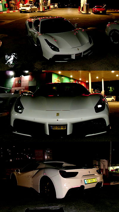 simp_for_cats_ simp_for_cats_ archive video