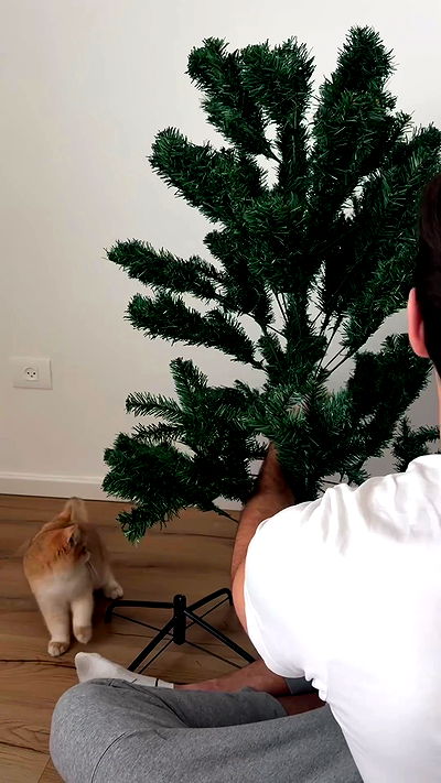 itsilanosh itsilanosh archive video