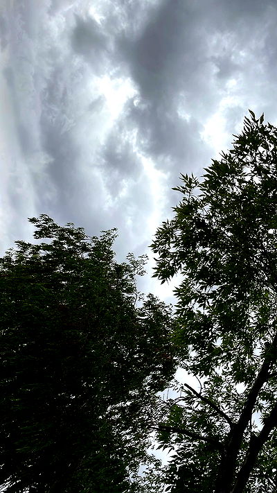 dante_yangpa dante_yangpa archive video