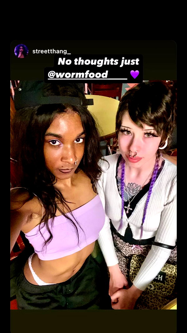 wormfood____ archive video preview