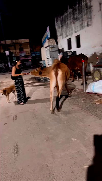 ronyida_ ronyida_ archive video