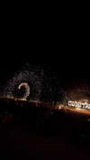 tohar.harosh Altpins Profile Picture