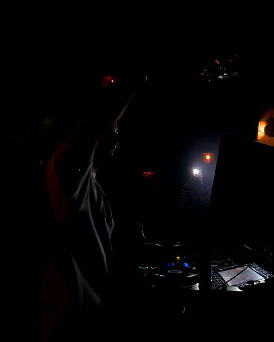 tuliprivet tuliprivet archive video