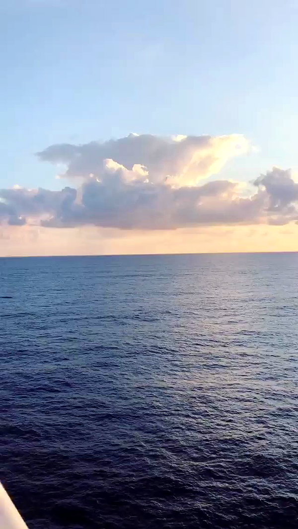 oliviaspasojevic archive video preview