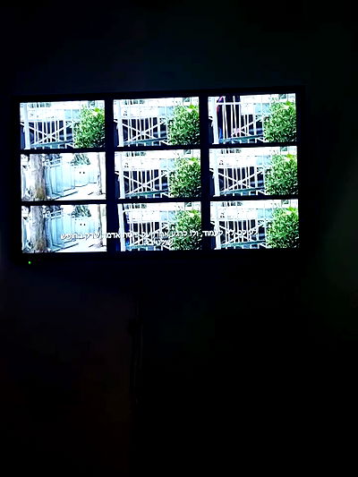 shayli_or shayli_or archive video