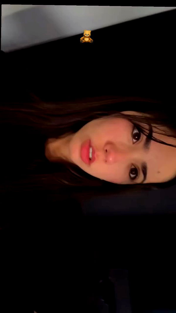 tuliprivet archive video preview