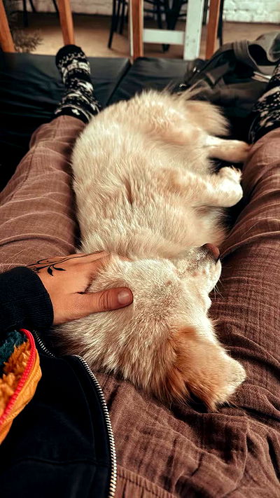 ronyida_ ronyida_ archive video