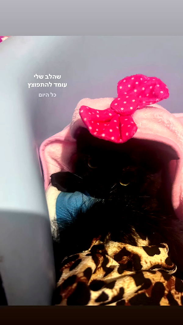 hellokittyangel666 archive video preview