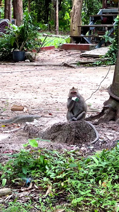 talweisswasser talweisswasser archive video