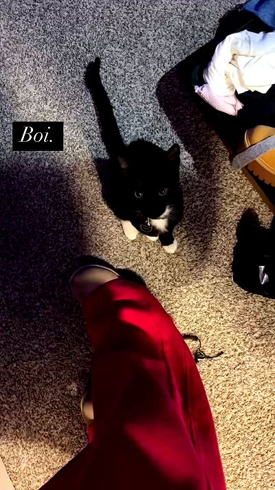 tatum.ricee tatum.ricee archive video