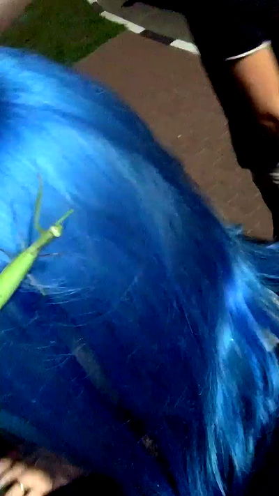 annfigma annfigma archive video