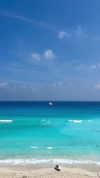 laurasaponara Altpins Profile Picture
