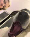 lior_levrun Altpins Profile Picture