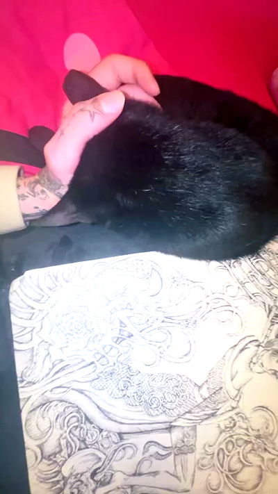 xzot1_met4xx xzot1_met4xx archive video