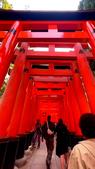 neomiconrad neomiconrad archive video