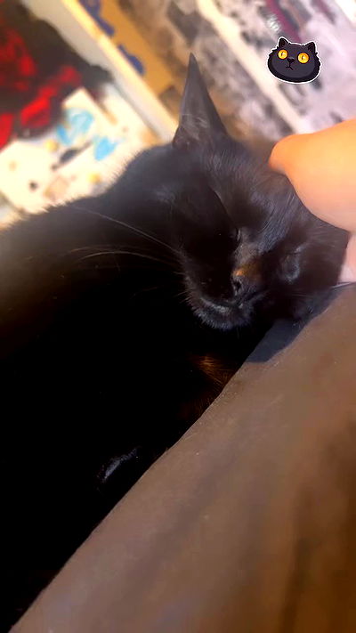 hellokittyangel666 hellokittyangel666 archive video