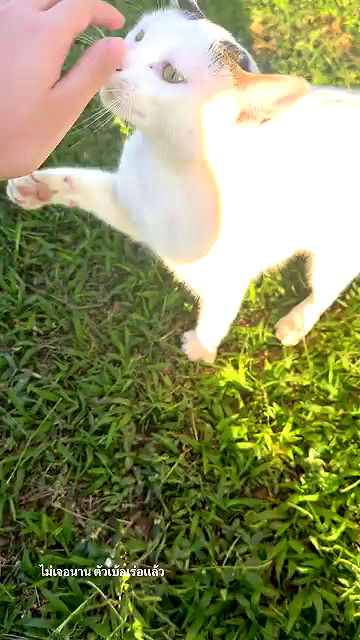 oqr0_ oqr0_ archive video