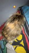 _cla._8 Altpins Profile Picture