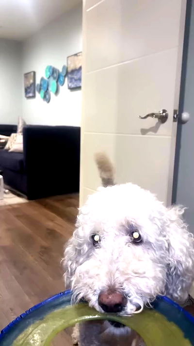 zommmbri zommmbri archive video