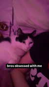 m3oww0_o Altpins Profile Picture