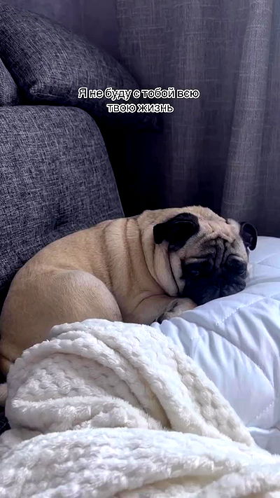 nyityam nyityam archive video