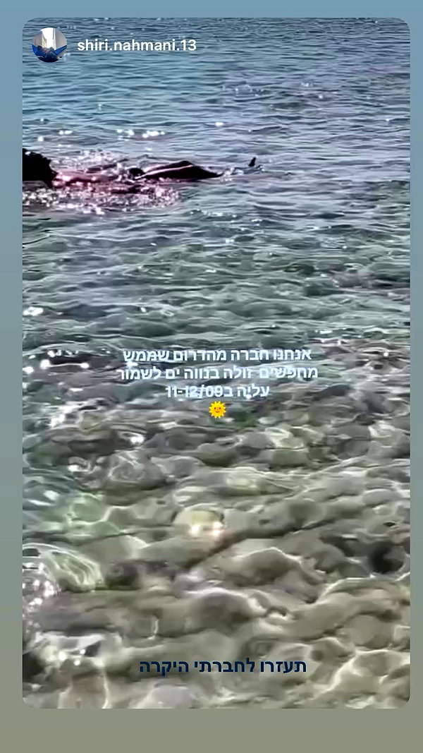 sonia_kalabin archive video preview