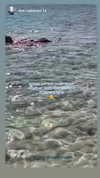 sonia_kalabin Altpins Profile Picture