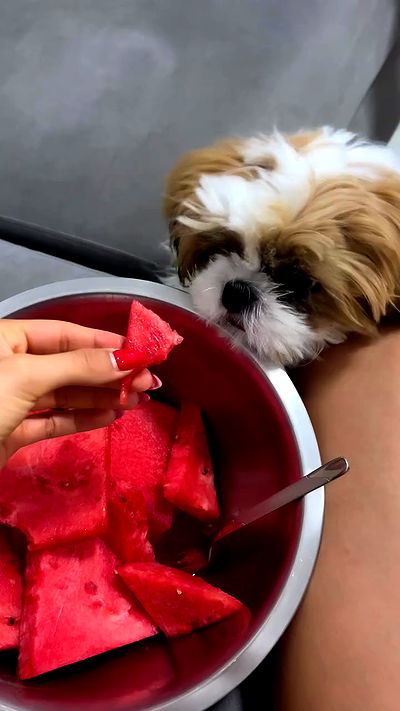 noammalka___ noammalka___ archive video