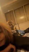 maycohen8 Altpins Profile Picture