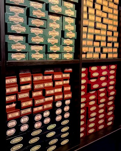 talya__edri talya__edri archive video