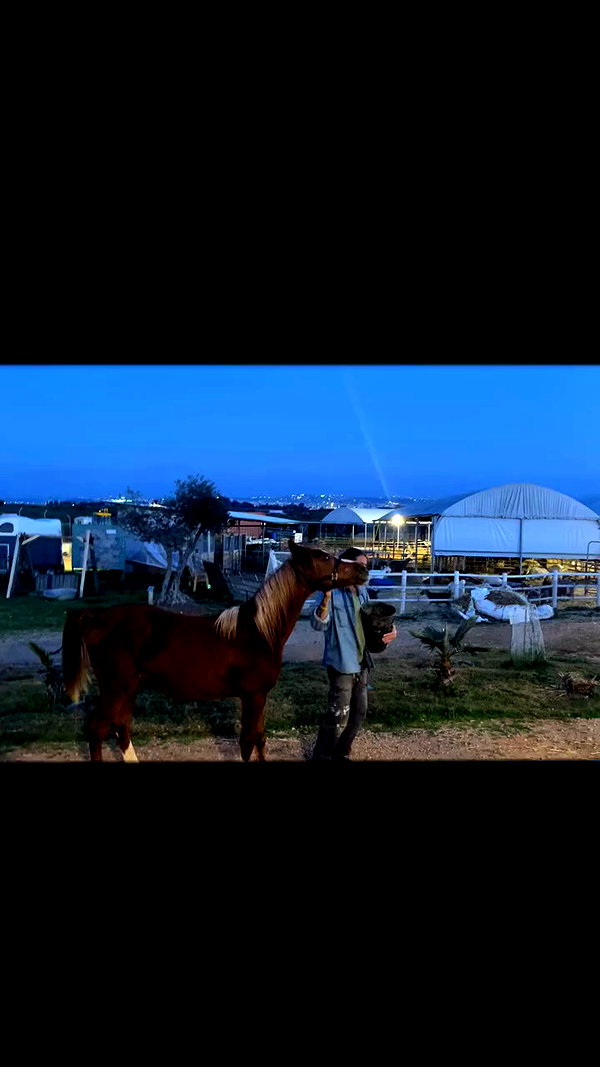 carinadas1lva archive video preview