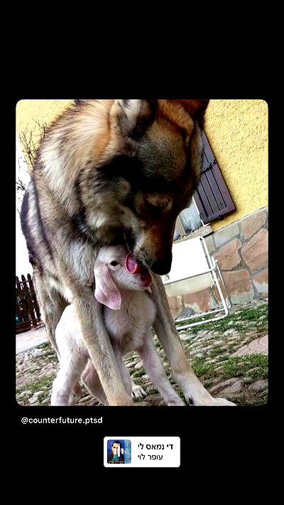 moonliliaght moonliliaght archive video