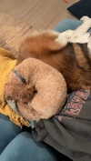 cclaire.bbear1 Altpins Profile Picture