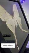 haley_meister Altpins Profile Picture