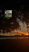 cellow111 Altpins Profile Picture
