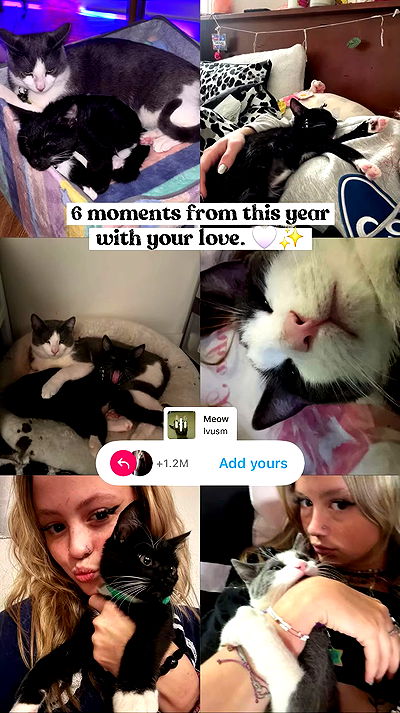 tatum.ricee tatum.ricee archive video